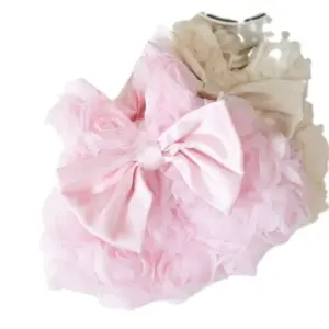 Sfa2c47a2c2a64d0bad61daf4446eadcao