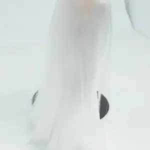 b3c59cb9285e4ae8ae017f2c upscaled