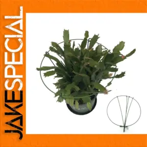 Metal Garden Plant Support Stand Set