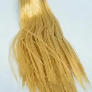 bbe605f881584472aba5484f upscaled