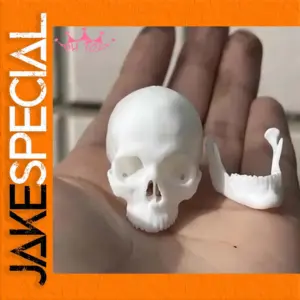 1/6 Scale White Skull Model for Action Figures