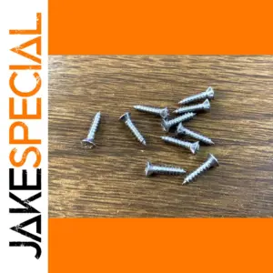 Stainless Steel Guitar Screw Set (10 pcs, 10mm)