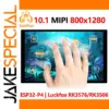 10.1-Inch Capacitive Touchscreen for Development Boards