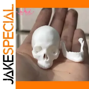 White 1/6 Scale Skull for Action Figures