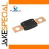High-Capacity Automotive Blade Fuse 30A-500A