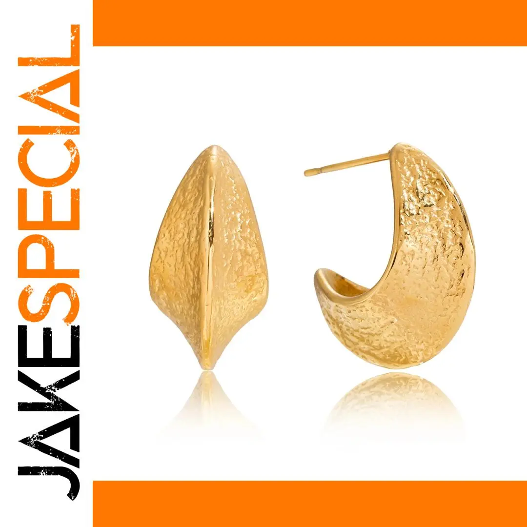 Stainless Steel Moon-Shaped Earrings 1 Stainless Steel Moon-Shaped Earrings