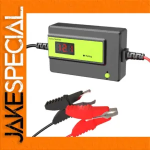 4A Battery Desulfator for 12-48V Batteries