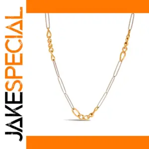 Modern Two-Tone Stainless Steel Necklace JDN0103030-PS