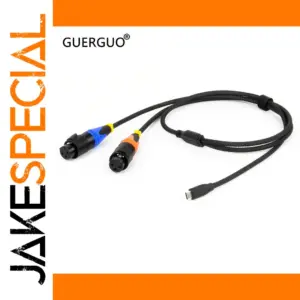 USB-C to Dual XLR Audio Converter Cable