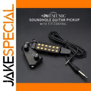 12-Hole Magnetic Sound Hole Pickup Kit