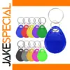 Vibrant 100 RFID Key Tags Set for Access