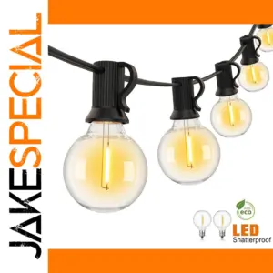 G40 Outdoor String Lights – Connect 480 Bulbs