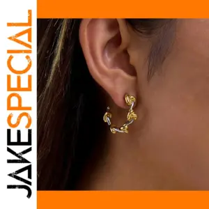 Stainless Steel Double-Tone Earrings JDE0105021-PS