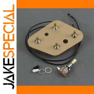 LP Guitar Wiring Harness Set with 500k Pots