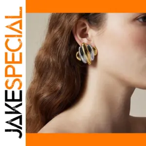 Stainless Steel Geometric Earrings JDE0306051