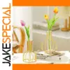 Gold Iron Hydroponic Test Tube Vase