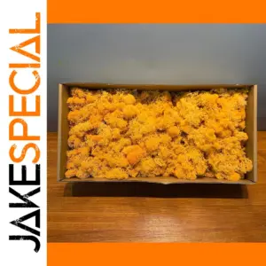 Vibrant Artificial Moss Grass in 500g/1000g