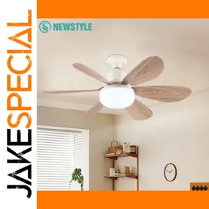 Modern Ceiling Fan with LED Lighting