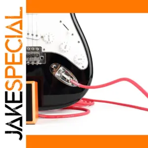 15ft Shielded Mono Instrument Cable for Guitars