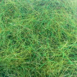 A20264162b54a402b9c019aabd7543c1aT