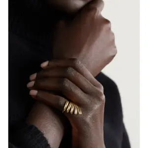 Acbb2ede8642744ee97639bccc5e0b909Y 1