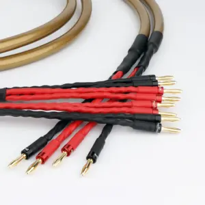 Hexlink Golden Five 5-C High-Fidelity Speaker Cable 10 H04ebb33885004385b78c3b49fece4734t