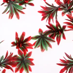 H0911738694f946e788a96e06d1c142cfw