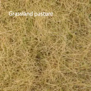 H0d64664895f043c4a095ddd664f4b207R