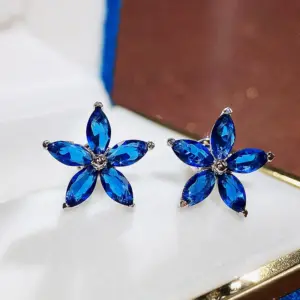 Star-Shaped Zircon Earrings for Women 12 H17840c891f144e8e972a4784ccbecf45V