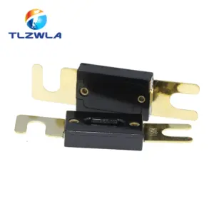 High-Capacity ANL Automotive Fuse 30A-500A 8 H1b162289d6be4427bd9e0801b82e62e1n