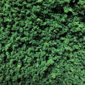 Vibrant Light Green Foam for Miniatures 14 H25d2ec929368482aa7ff7686bb02cc77C