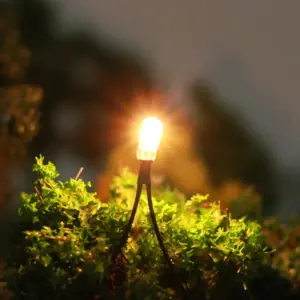 H2f84e9a7600544bb855decaef208edfer