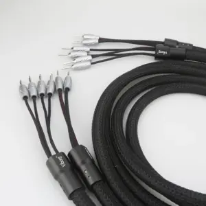 High-Fidelity 19.5 AWG Speaker Cable 3m 10 H2ff0e7bd1f7b4a06b20ab26f84a63ca4h