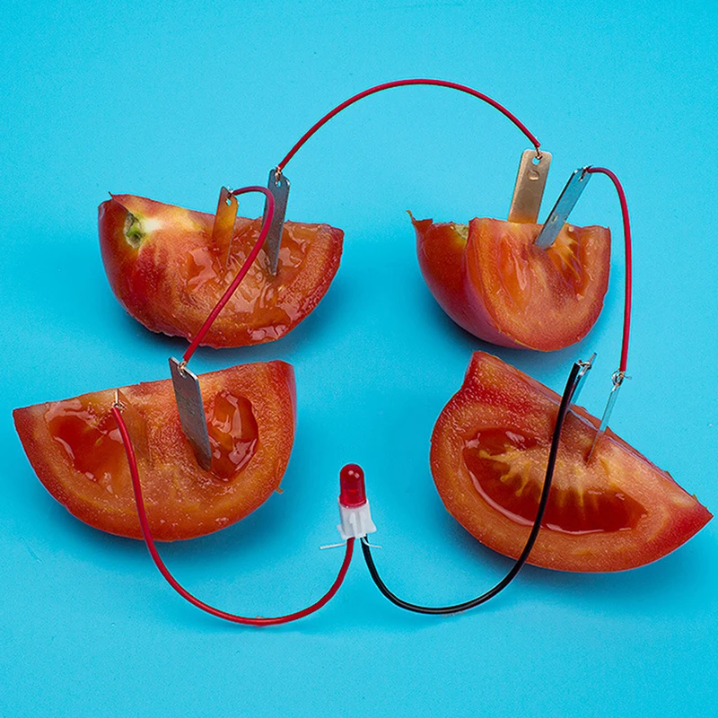 Children’s Bio Energy Science Kit for Young Learners 2 Children’s Bio Energy Science Kit for Young Learners - Image 2