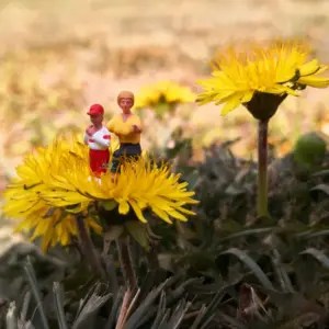 H5c550488b3e6402a9d4683ca3b35eaf6u