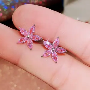 Star-Shaped Zircon Earrings for Women 14 H6853f130e7e44704aa67572188a39fc2j