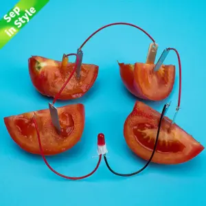 Children’s Bio Energy Science Kit for Young Learners 11 H6a3621dbf675484aa0ed4aa4a5502c9fL