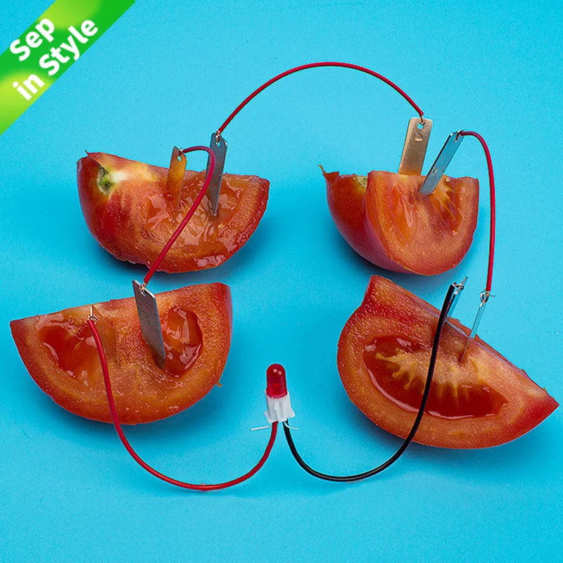 Children’s Bio Energy Science Kit for Young Learners 3 Children’s Bio Energy Science Kit for Young Learners - Image 3