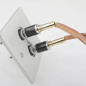 Premium 24K Gold Banana Plugs for Audio Systems 11 H7019f656c5d04099862640e895acea41J