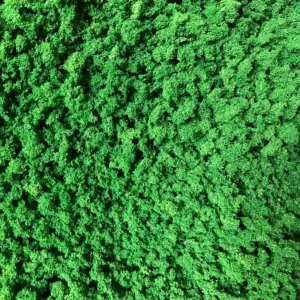 Vibrant Light Green Foam for Miniatures 17 H7b2bd215c6874f20bfd01763a8dd4010G