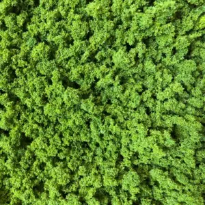 Vibrant Light Green Foam for Miniatures 16 H7dbdf901a7a74ce48f2d2f9195caf655Q 1