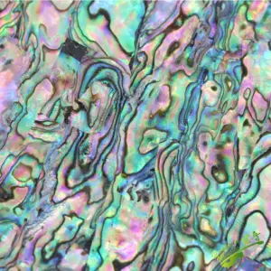 H864ba43d1a6e48d080c77104f892f49f7