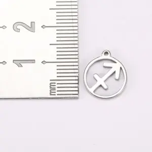Zodiac Stainless Steel Charm Collection 15 H89e0b345ab9f41cb9acc53fc925f309c6
