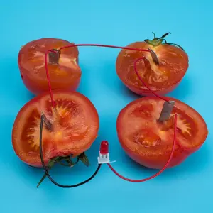 Children’s Bio Energy Science Kit for Young Learners 17 H9028bbda5d2444759ccc263f1a862eaaZ