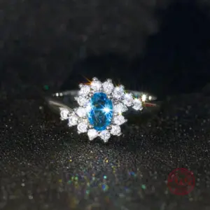 H958272504f4740e3b901d012a5dac3bbd