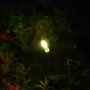 Set of 100 Grain of Wheat Bulbs for Models 10 HTB118RGAHSYBuNjSspiq6xNzpXas