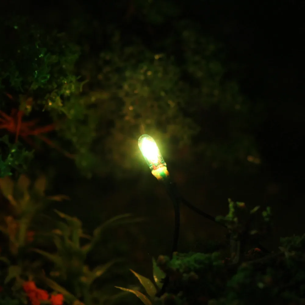 Set of 100 Grain of Wheat Bulbs for Models 5 Set of 100 Grain of Wheat Bulbs for Models - Image 5