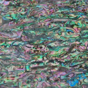 HTB13o 0dbuWBuNjSszgq6z8jVXa3