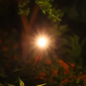 HTB19ZBKBhGYBuNjy0Fnq6x5lpXaM