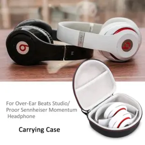 HTB1Lt SaizxK1RkSnaVq6xn9VXag